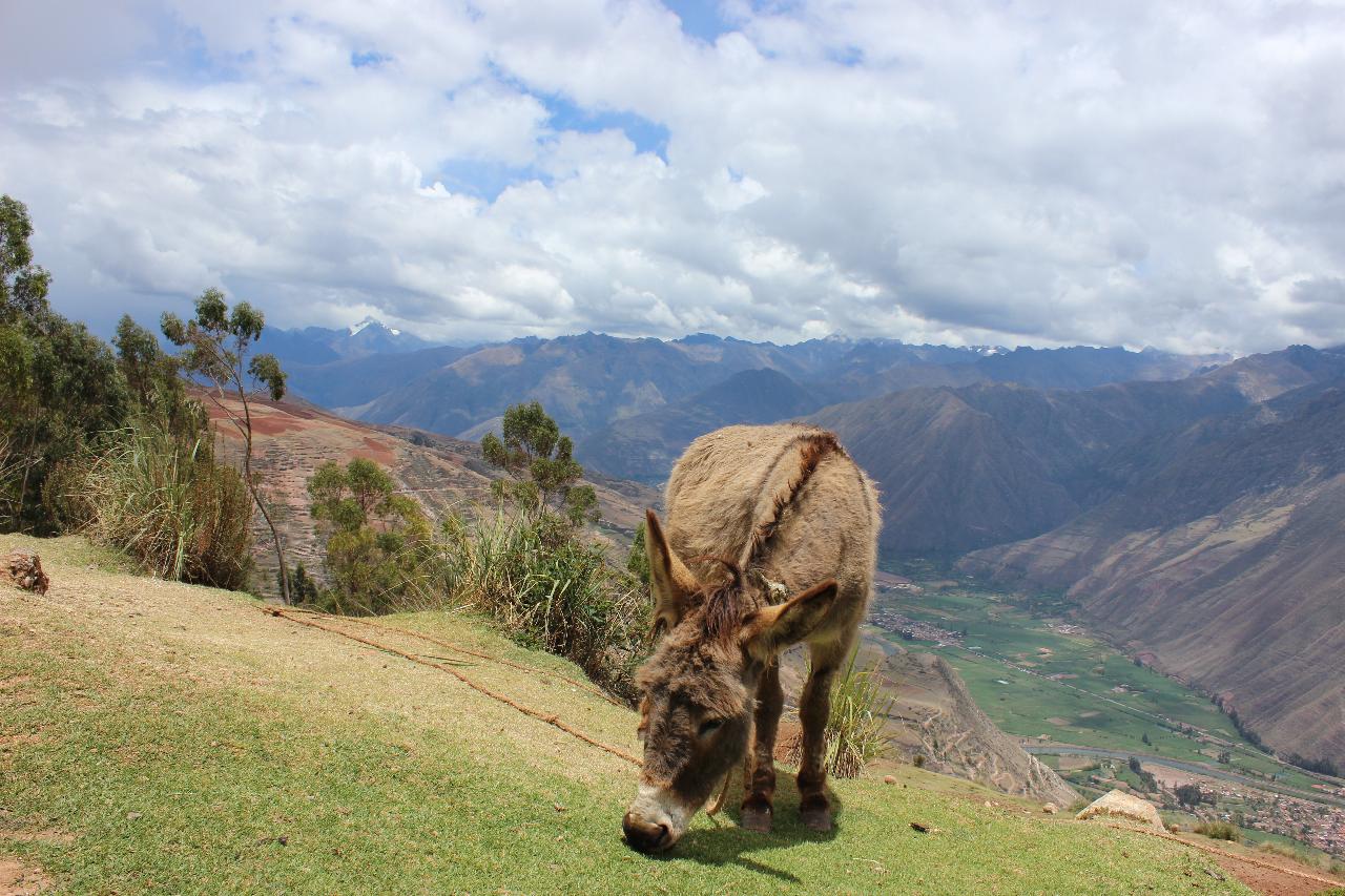 Top 10 Best Attractions in Peru
