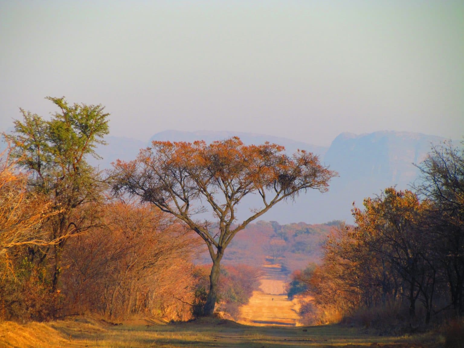 South Africa's landscape