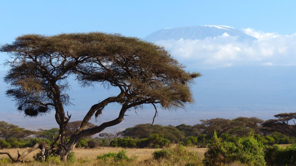 The 10 best attractions in Tanzania