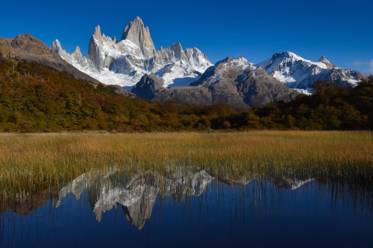 Patagonia