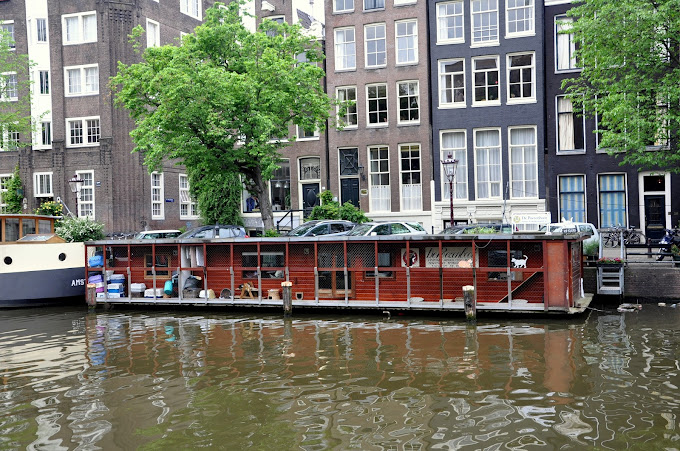 catboat amsterdam