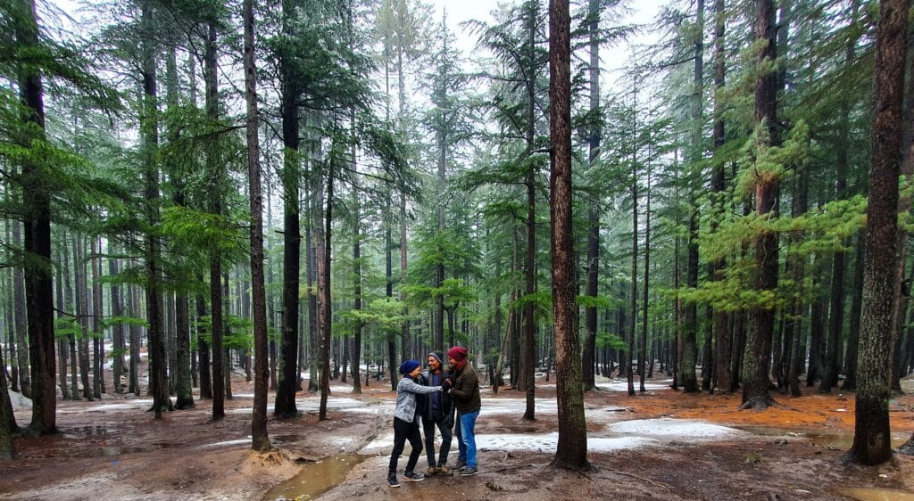 Travelers in a forest - Baboo Travel