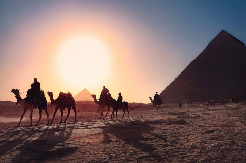 camels in egypt - baboo travel vacation