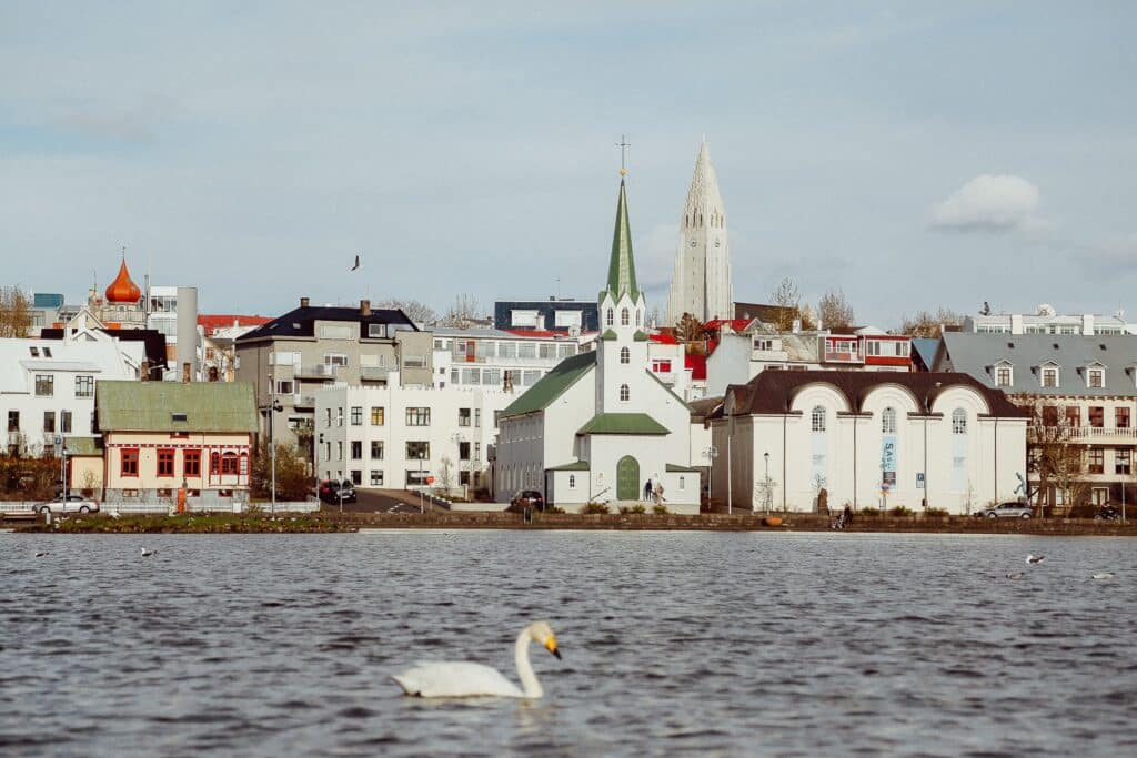 swan swimming horizon - reykjavik iceland - eco-friendly travel destinations - baboo