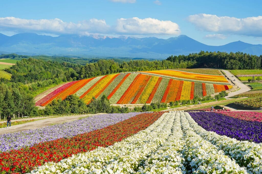 Exploring Hokkaido: A Farming Adventure for Tourism Enthusiasts