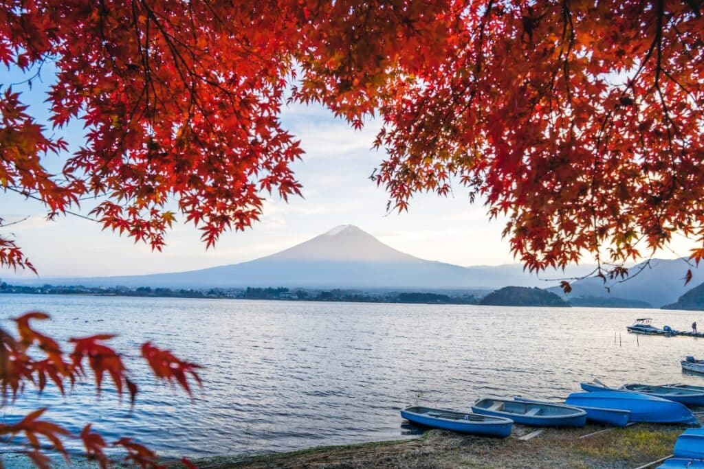 japan mount fiji autumn leaves