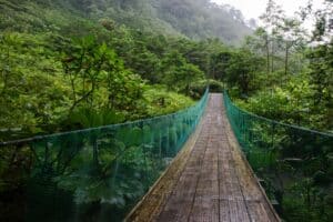 Suspension bridge in the rain forest cloud forest jungle in Costa Rica