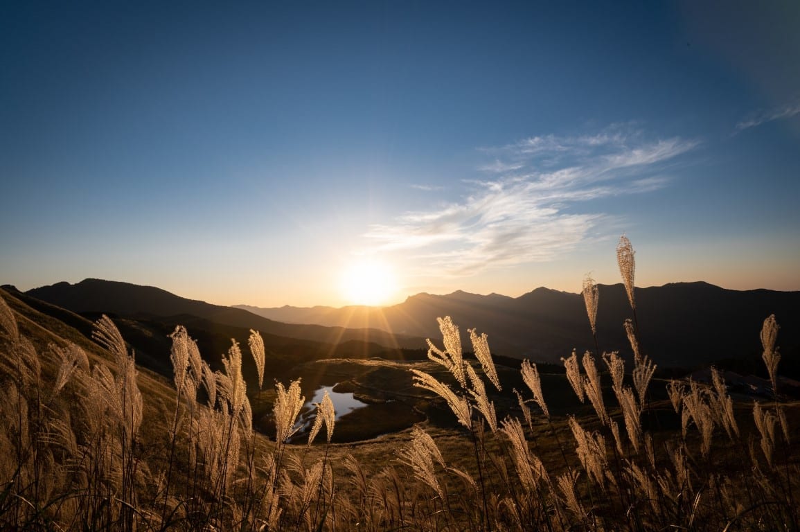 Japan weather in late november