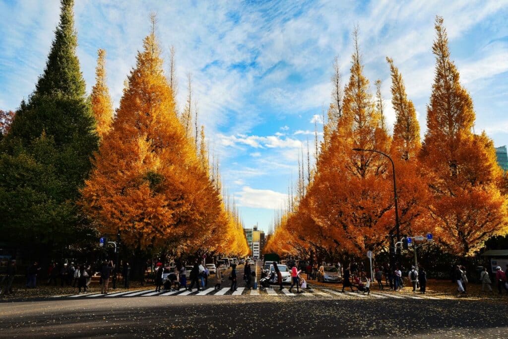 japan november festival