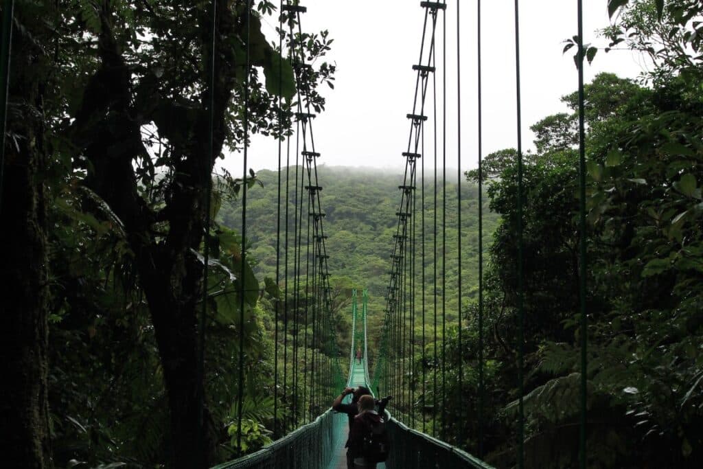 monteverde hanging bridge costa rica