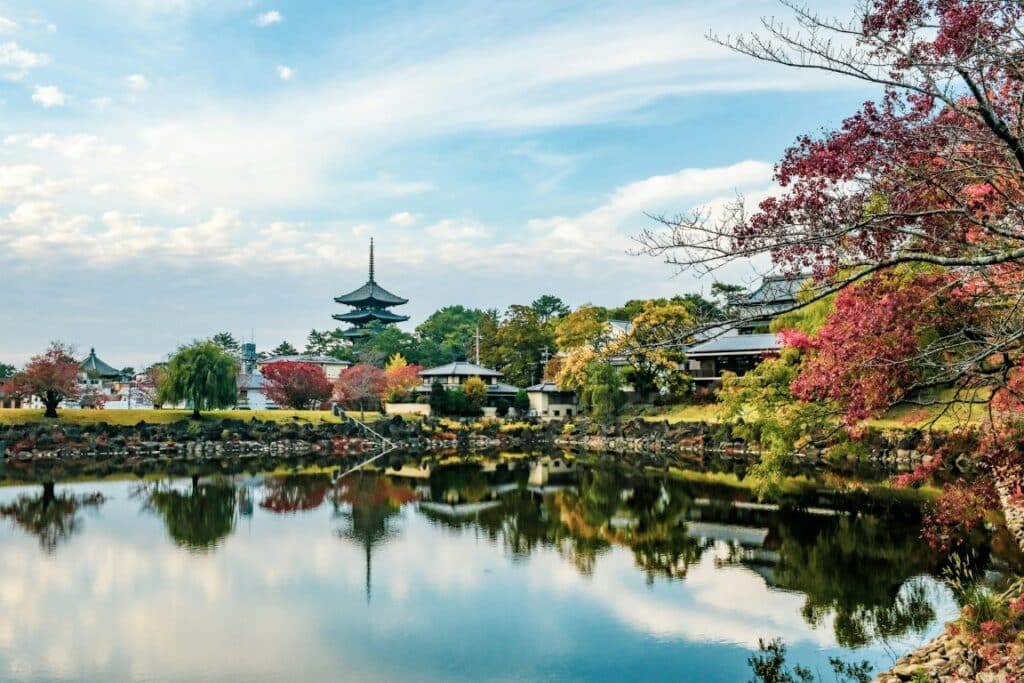 Guide to Japan in November: Weather, Events, Activities and What Else to Expect on Your Trip