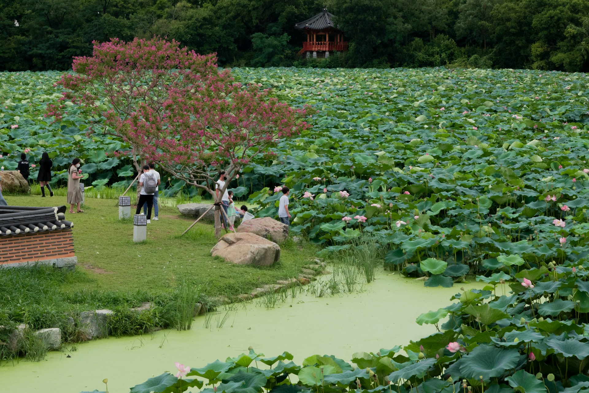 south korea summer