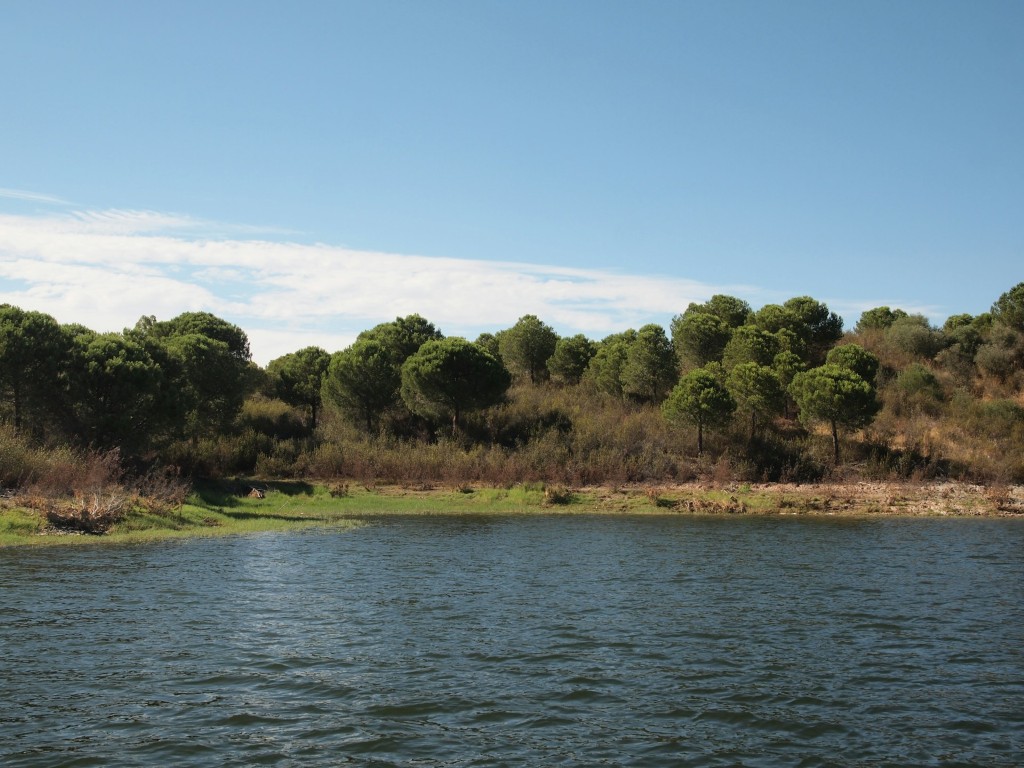 Discovering the Alentejo Region: My 5-Day Escape