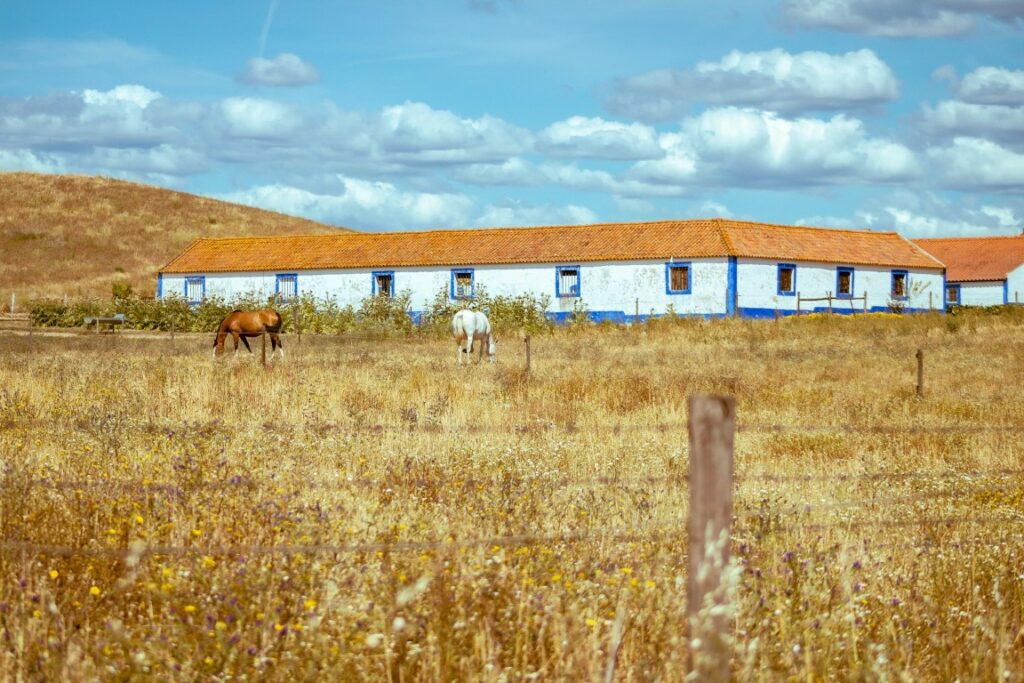 Discovering the Alentejo Region: My 5-Day Escape