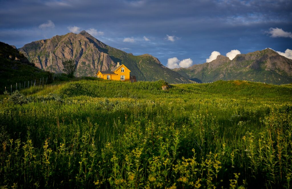 summer in norway
