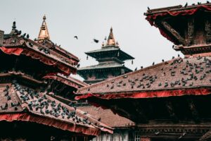 kathmandu nepal birds on a roof