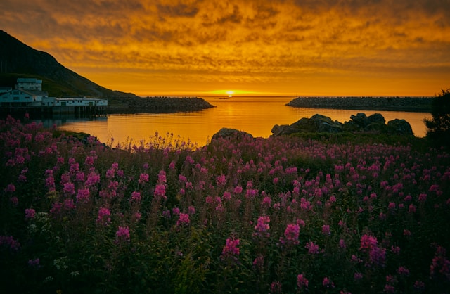 Norway in May: Weather, Events, Activities and What Else to Expect on Your Trip