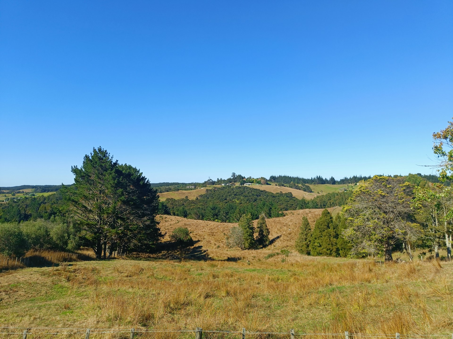 new zealand near autumn