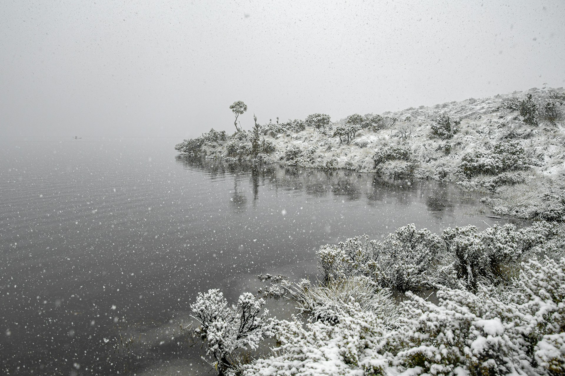 Snow fall on Dove Lake, Tasmania, Australia