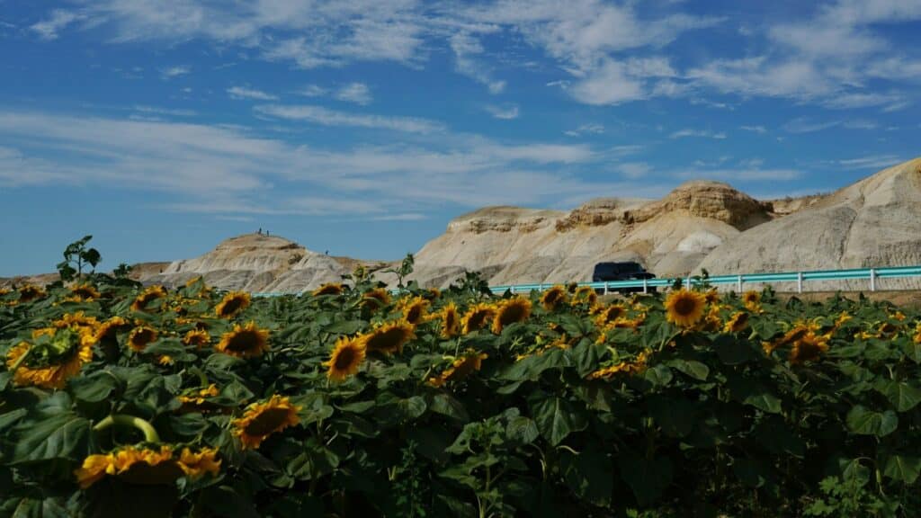 Whispers from the West: Why Xinjiang Beckons Curious Travelers
