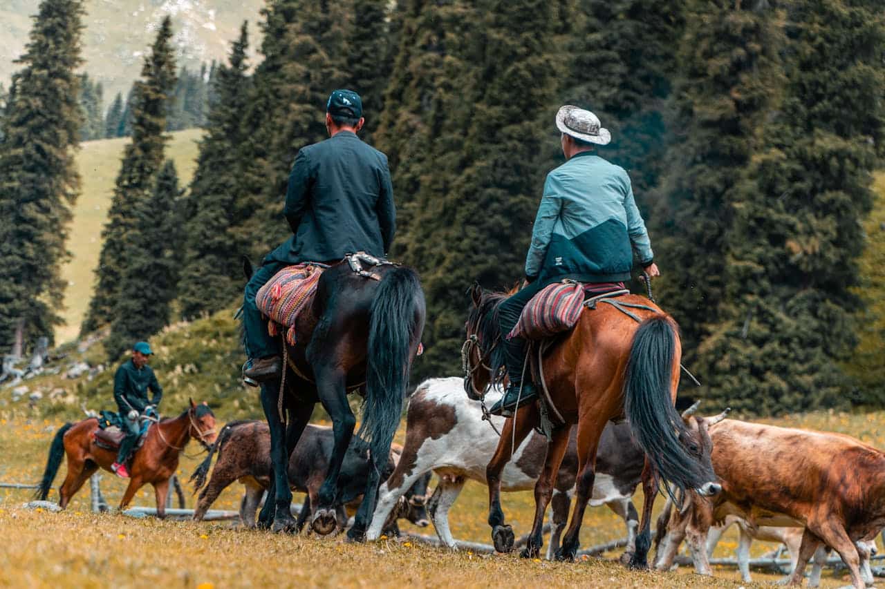 xinjiang horsemen