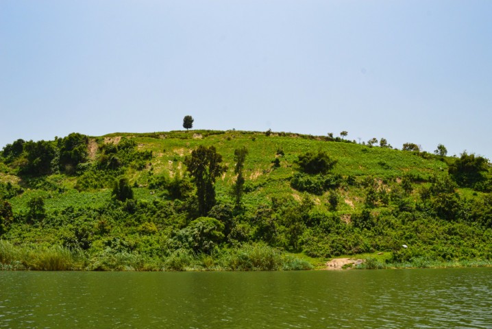 Hill on Lake Kivu
