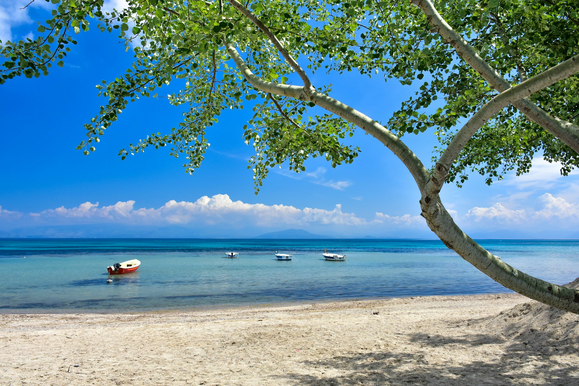 Greek beach on the island of Corfu Kerkyra in the mediterranean sea with sunny weather