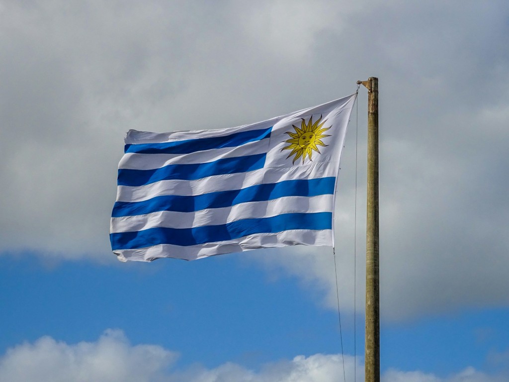 argentina flag