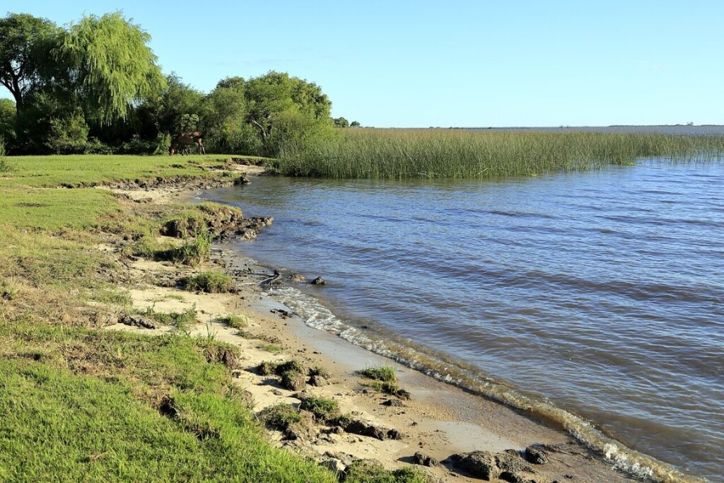 grassy carmelo playa sere uruguay