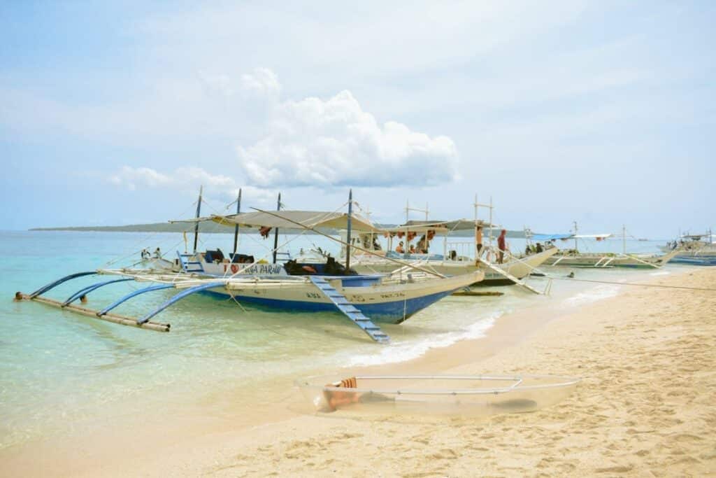 Where to Travel in January