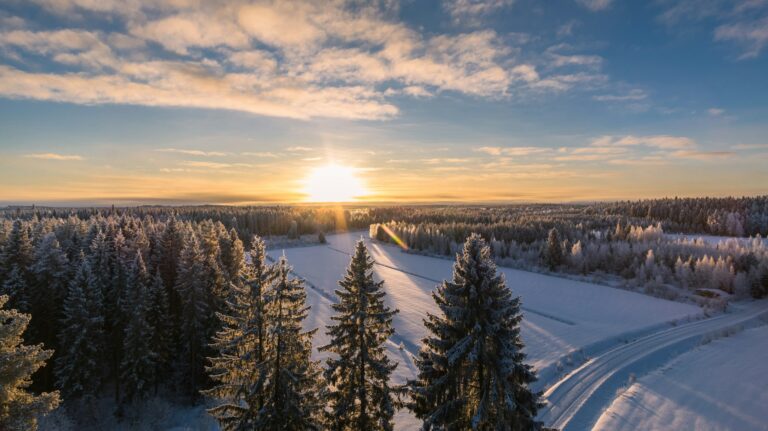 Where to Travel in January